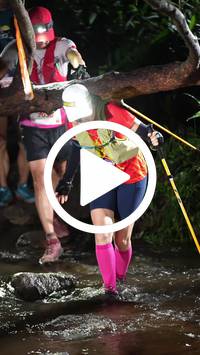 BIB:  <button type="button" onclick="openModal(27606087)" class="btn btn-primary btn-sm float-right" data-toggle="modal" data-target=".modal-high-quality">
                <i class="fa fa-download"></i> Download
                </button>